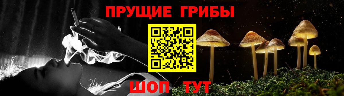 Галлюциногенные грибы ЛСД  купить   Саранск  Вход с VPN 