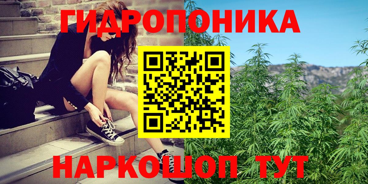 Каннабис White Widow  Вход с VPN  Каннабис OG Kush  Бошки марихуана планчик  Саранск 